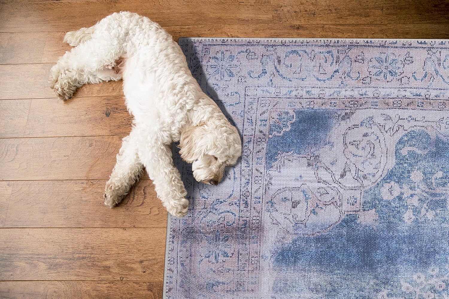 GLN Rugs Akhira - Machine Washable Area Rug - Turkish Cream/Navy Home Rugs