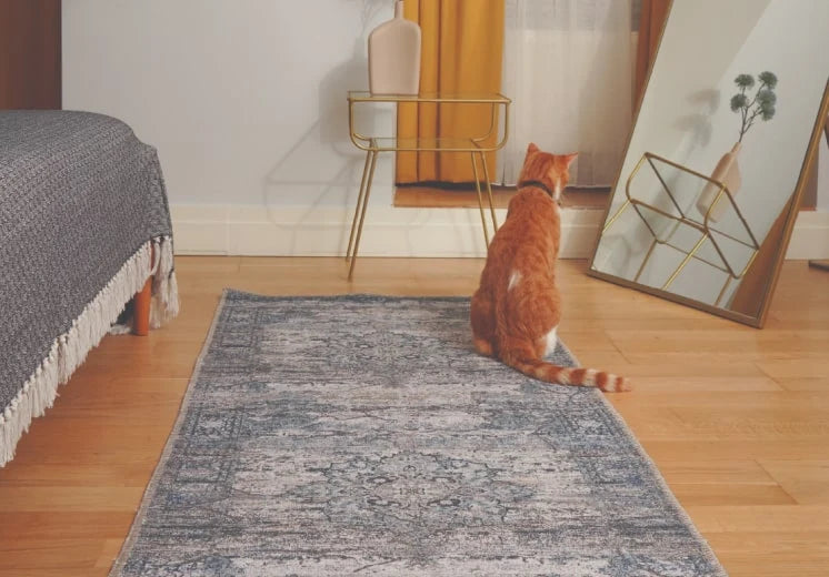 The cat on the carpet