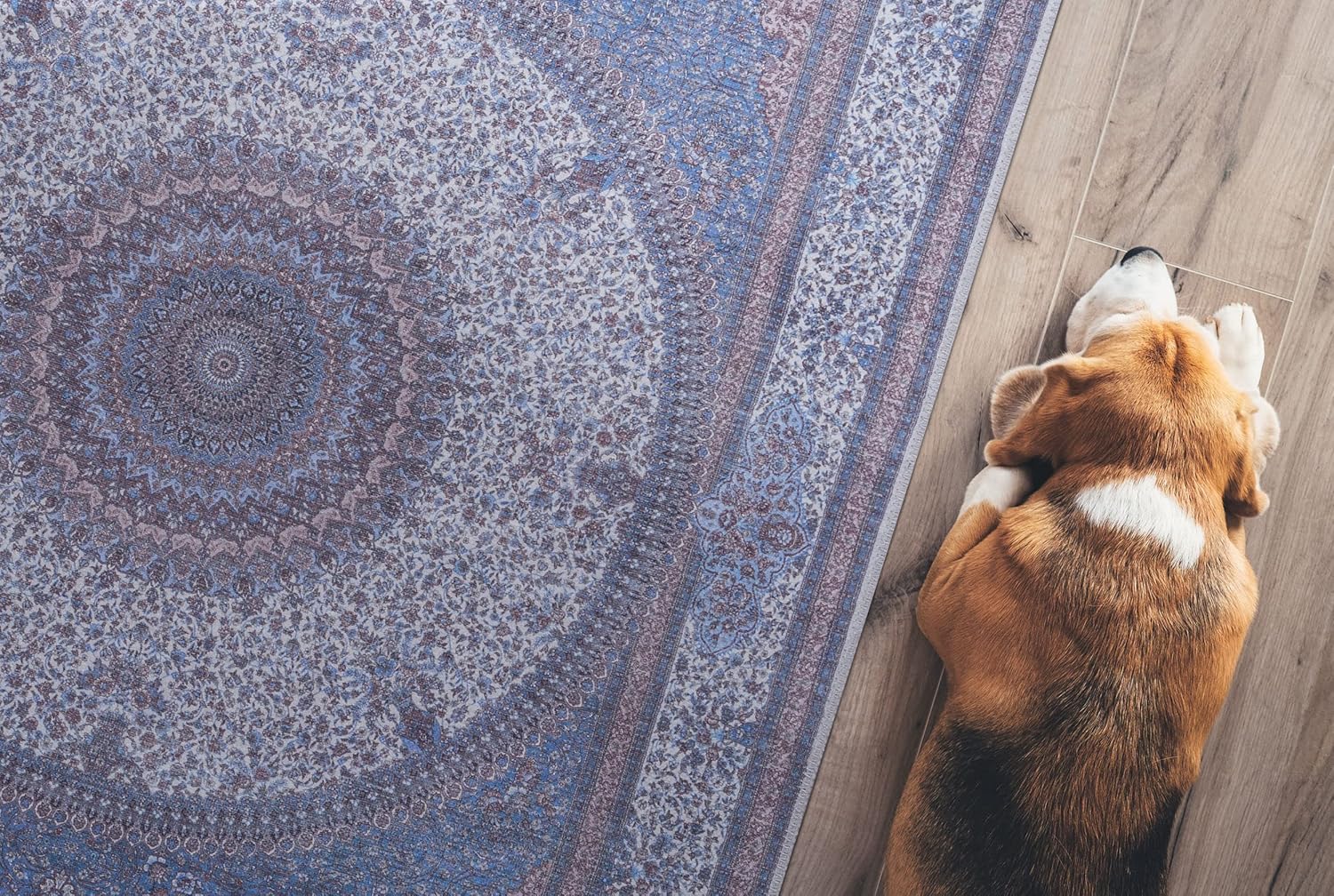 GLN Rugs Saphirya - Machine Washable Area Rug - Turkish Navy/Off White Home Rugs