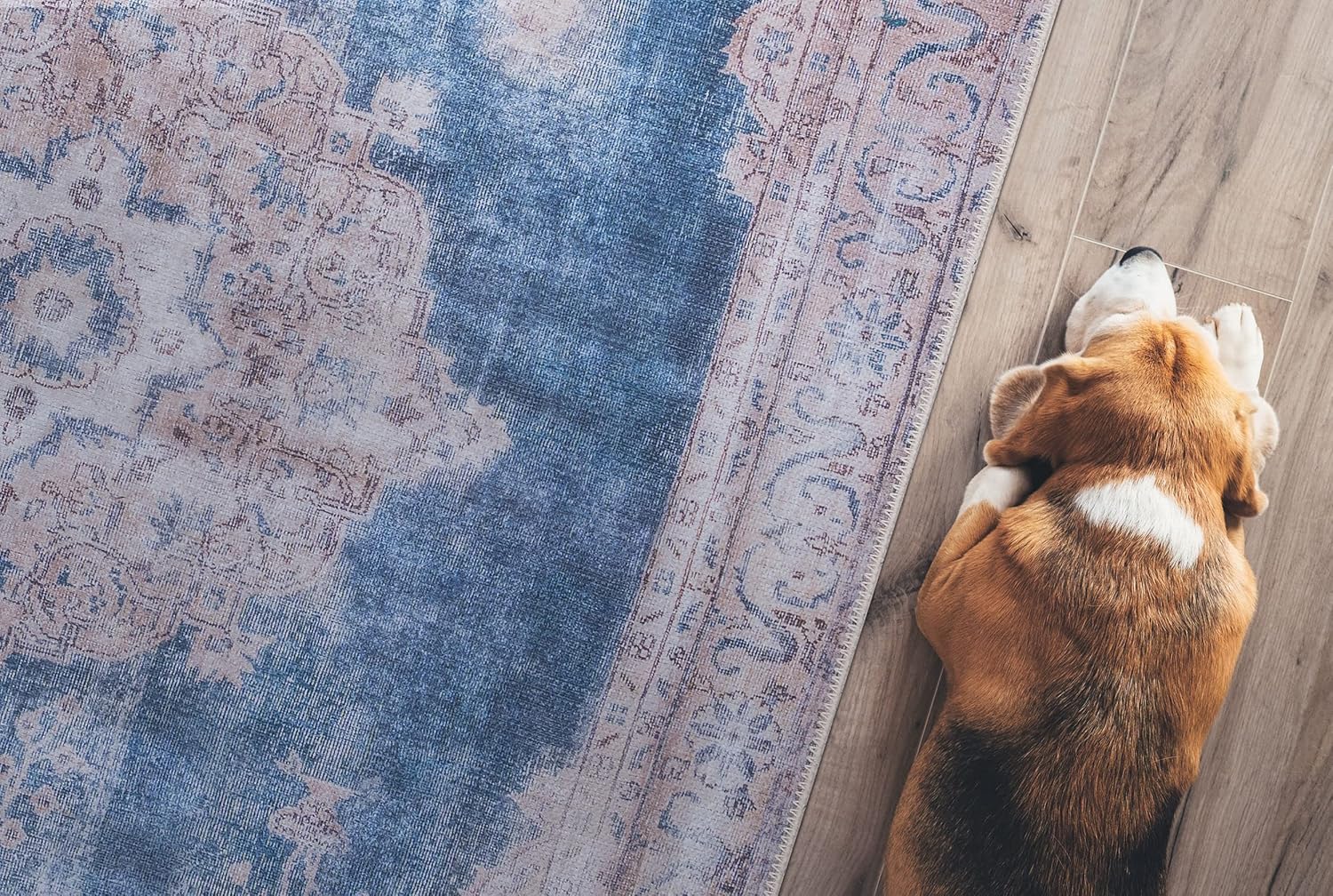 GLN Rugs Akhira - Machine Washable Area Rug - Turkish Cream/Navy Home Rugs