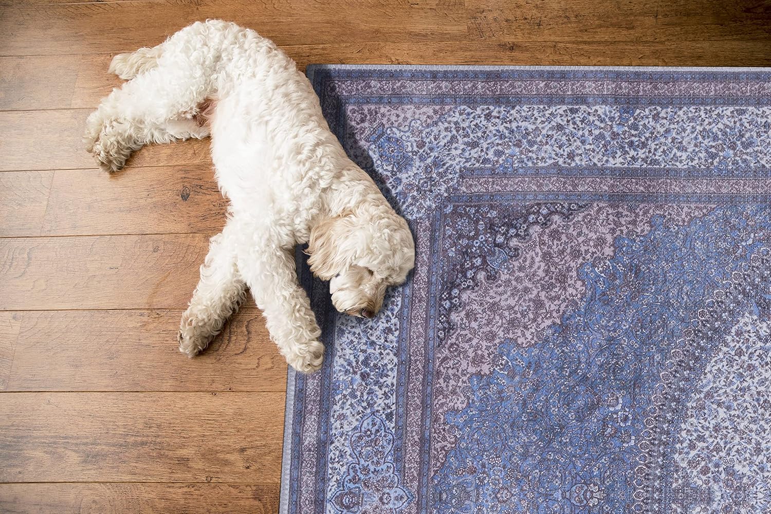 GLN Rugs Saphirya - Machine Washable Area Rug - Turkish Navy/Off White Home Rugs