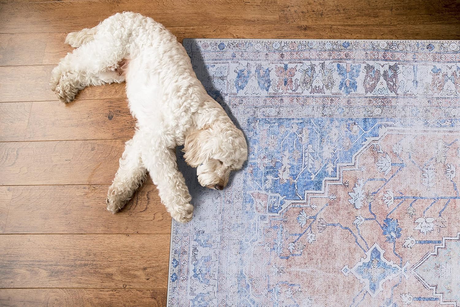 GLN Rugs Larisa - Machine Washable Area Rug - Turkish Peach/Blue Home Rugs