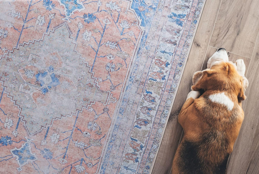 GLN Rugs Larisa - Machine Washable Area Rug - Turkish Peach/Blue Home Rugs