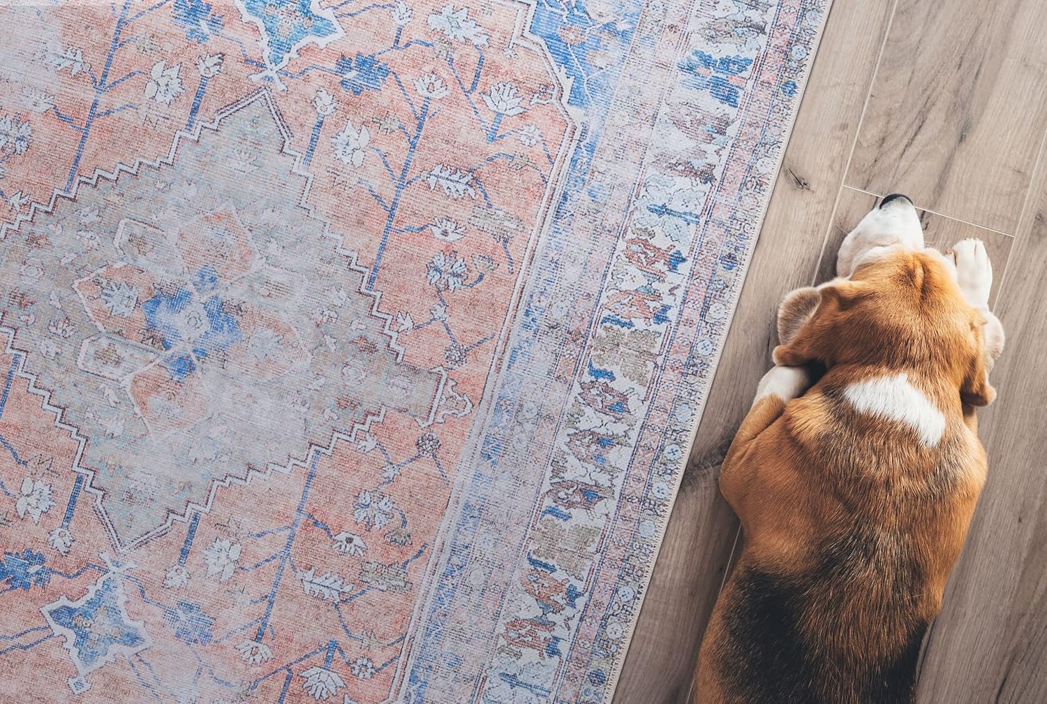 GLN Rugs Larisa - Machine Washable Area Rug - Turkish Peach/Blue Home Rugs