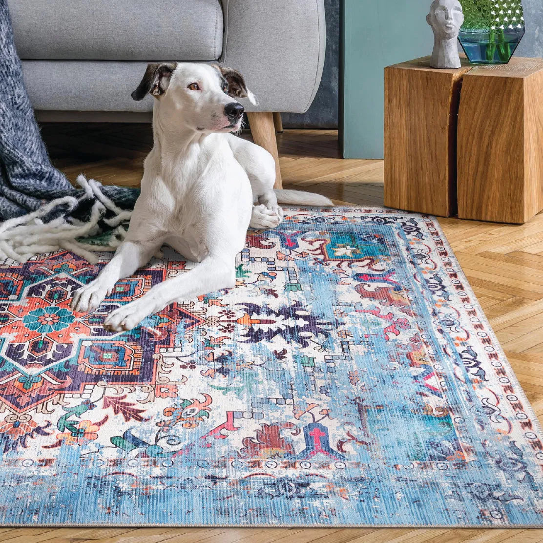 NARLI - Machine Washable Area Rug (Blue/Multicolor)