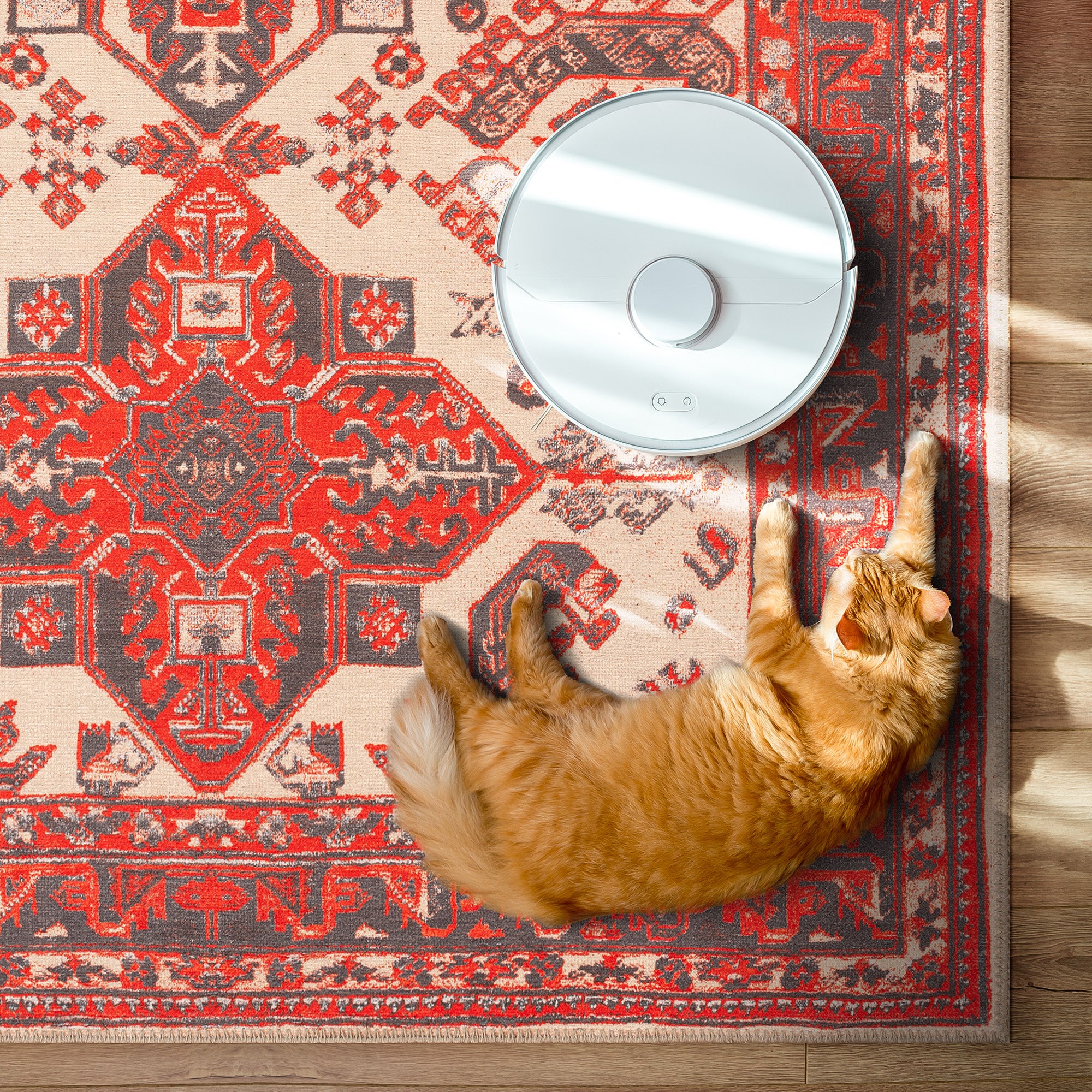 GLN Rugs Sparta - Machine Washable Area Rug - Turkish Red/Black Home Rugs