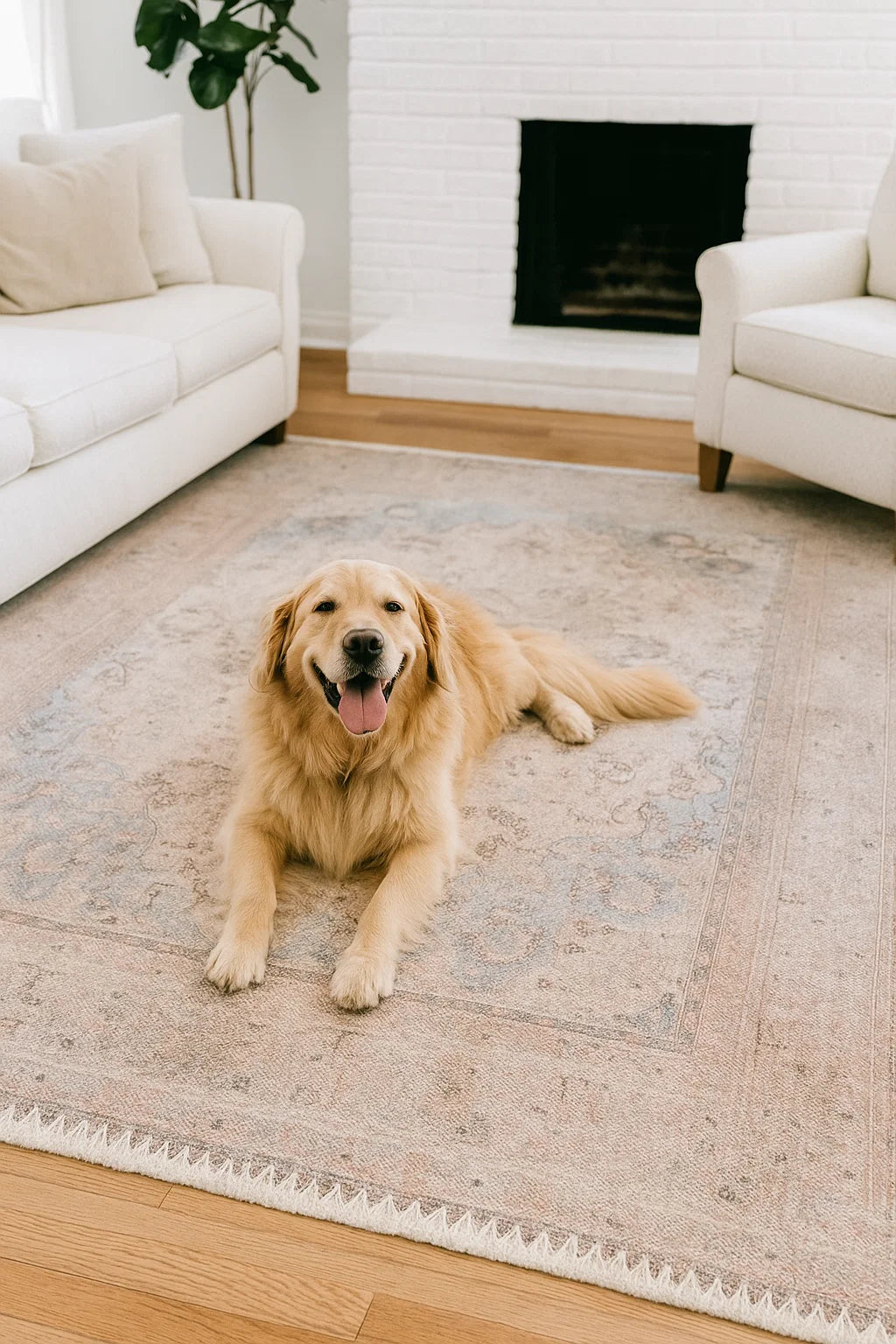 GLN Rugs Tiriala - Machine Washable Area Rug - Multi/Pink Home Rug