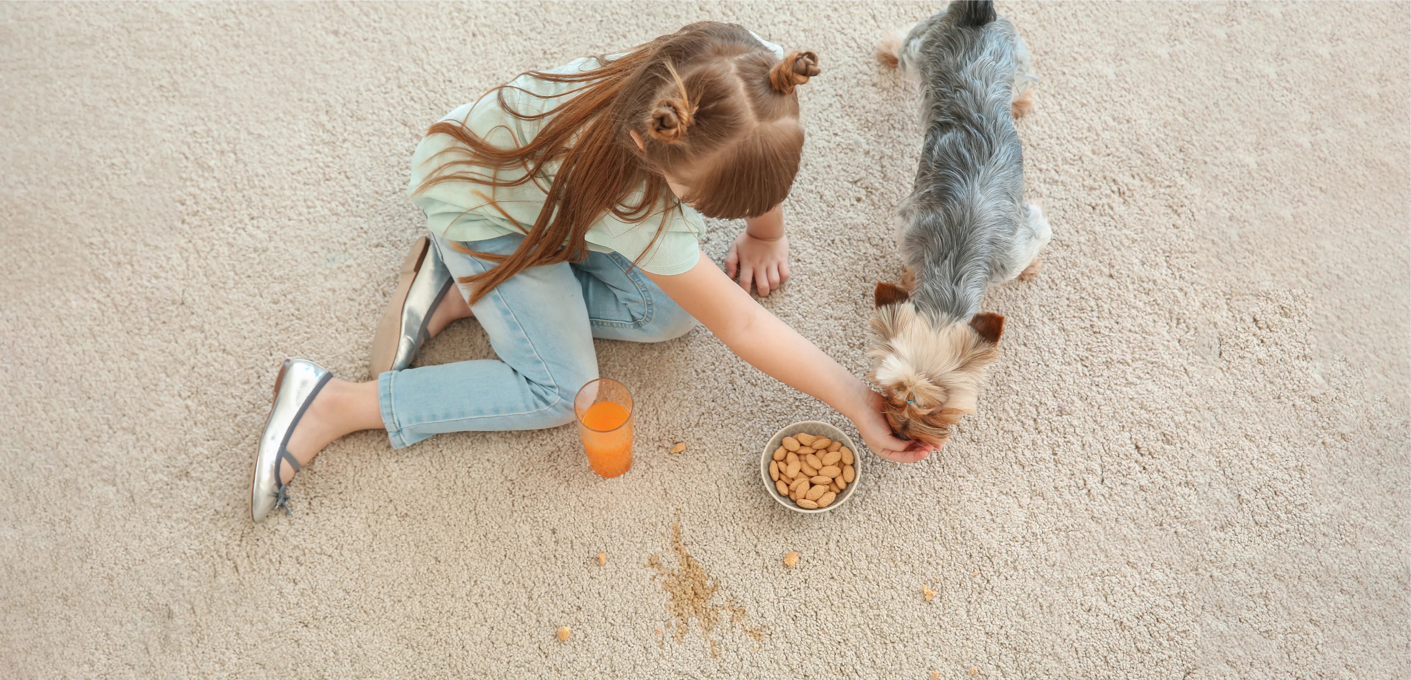 Kid-Friendly Washable Rugs